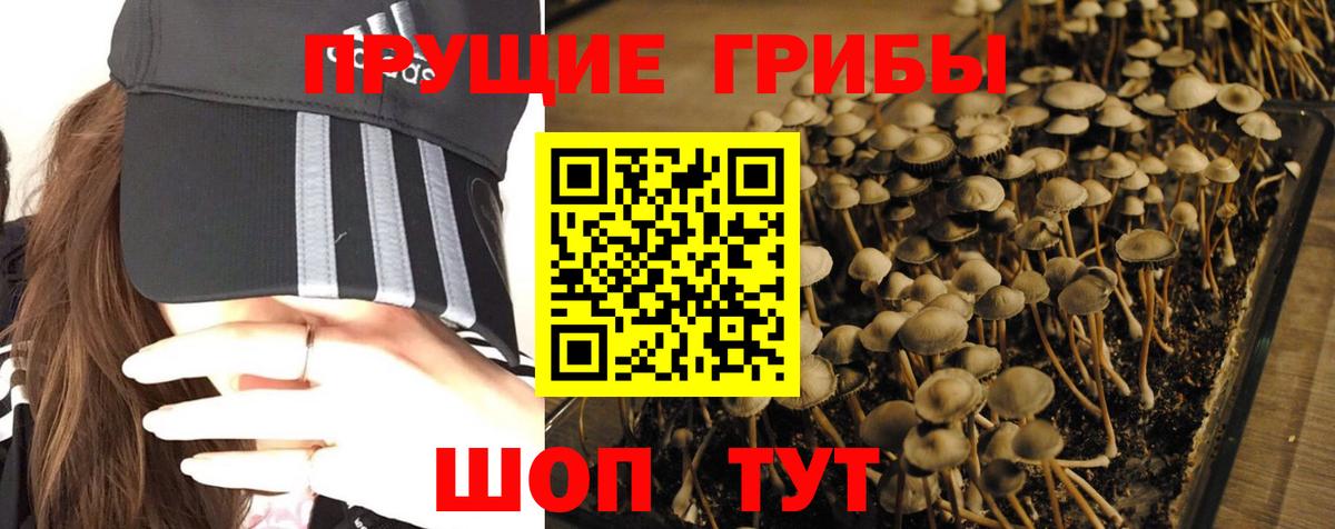 Галлюциногенные грибы ЛСД Батайск